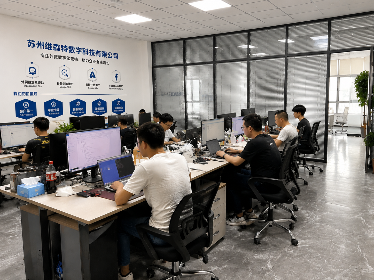 维森特公司